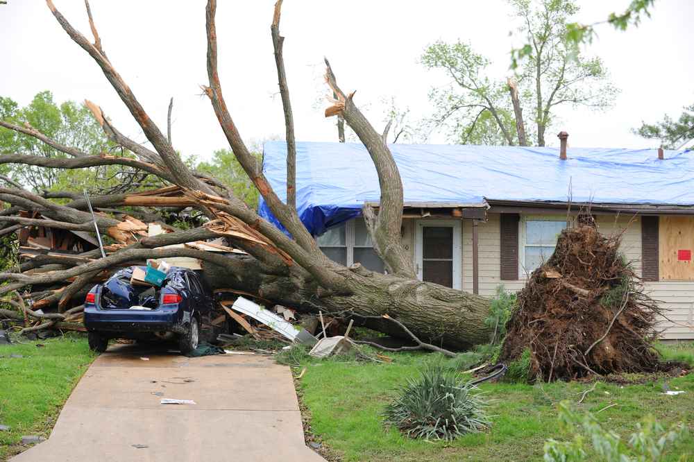 Storm Damage Repair Expert in Northern New Jersey